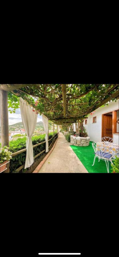 Guesthouse Coralba Casamicciola Terme Exterior foto