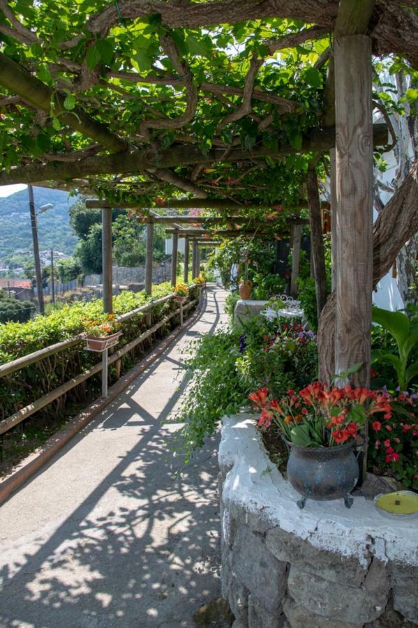 Guesthouse Coralba Casamicciola Terme Exterior foto